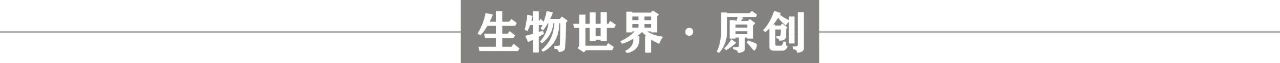 世界6大膳食营养补充剂,膳食补充剂真的有效吗