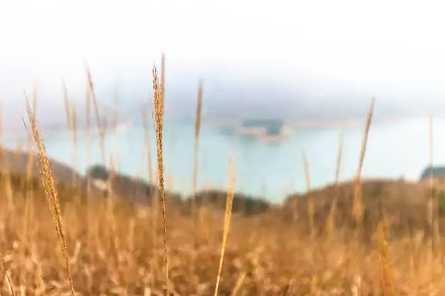 广西是一个环境优美的地方,广西是一个非常有意思的地方