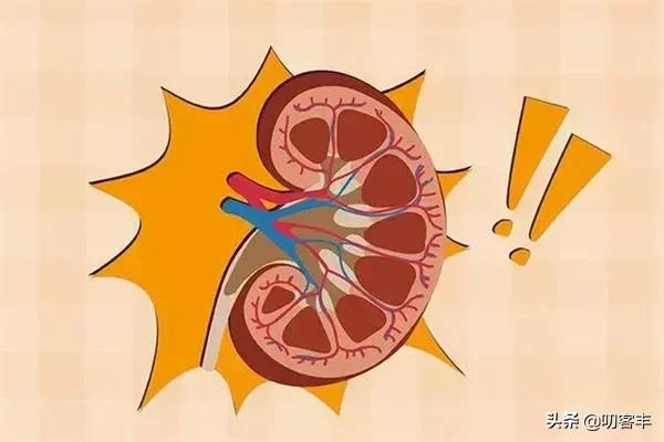 狼疮肾怎么治疗,狼疮肾指标怎么看
