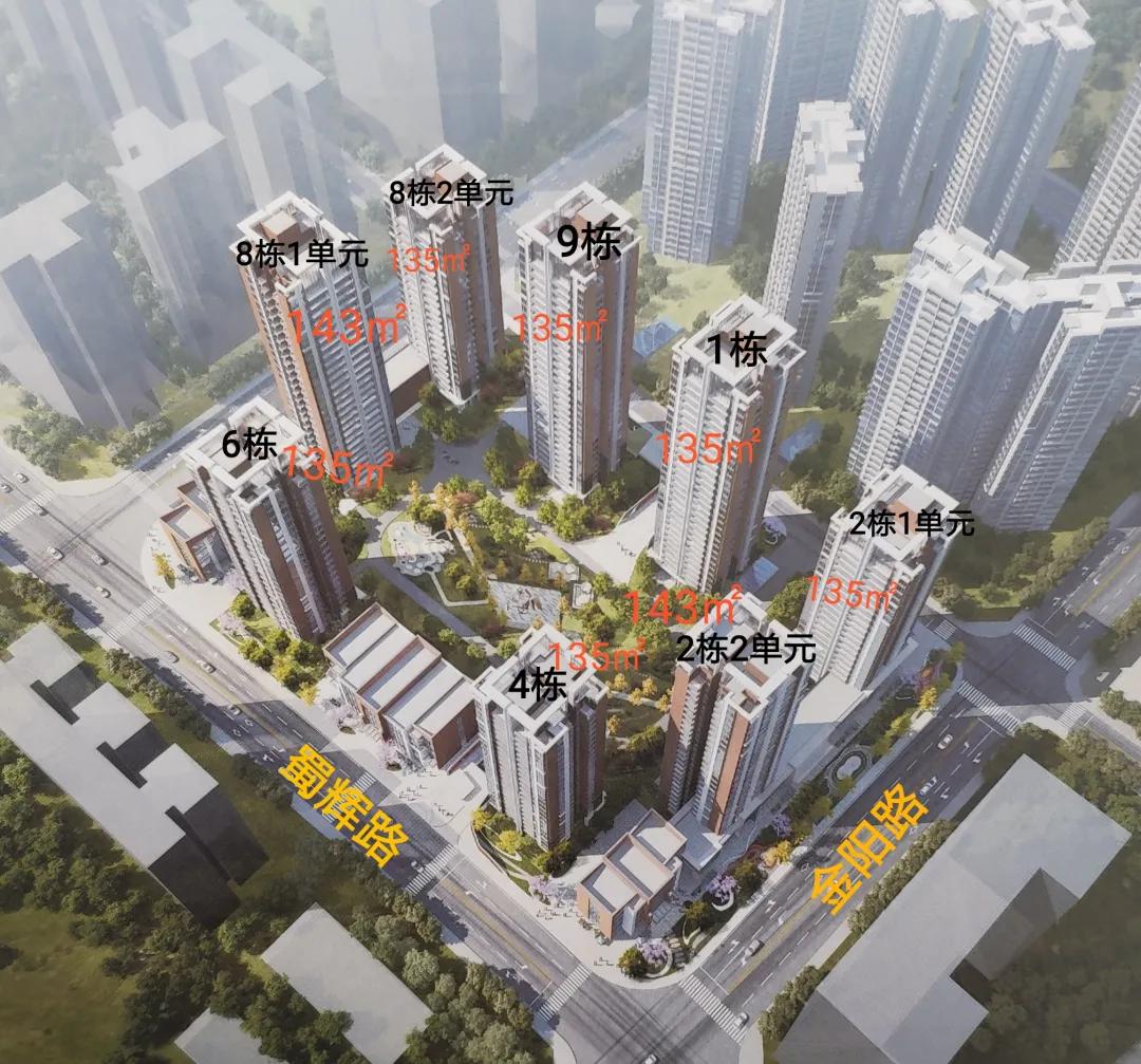 内金沙即将上新，值不值？