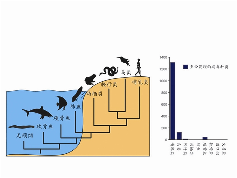 生物进化的直接原因和根本原因,生物进化的根本动因