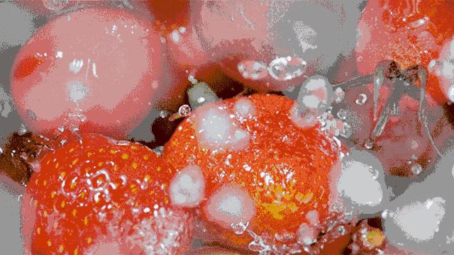 水果含糖量高的人不能吃,水果很甜不等于含糖量高