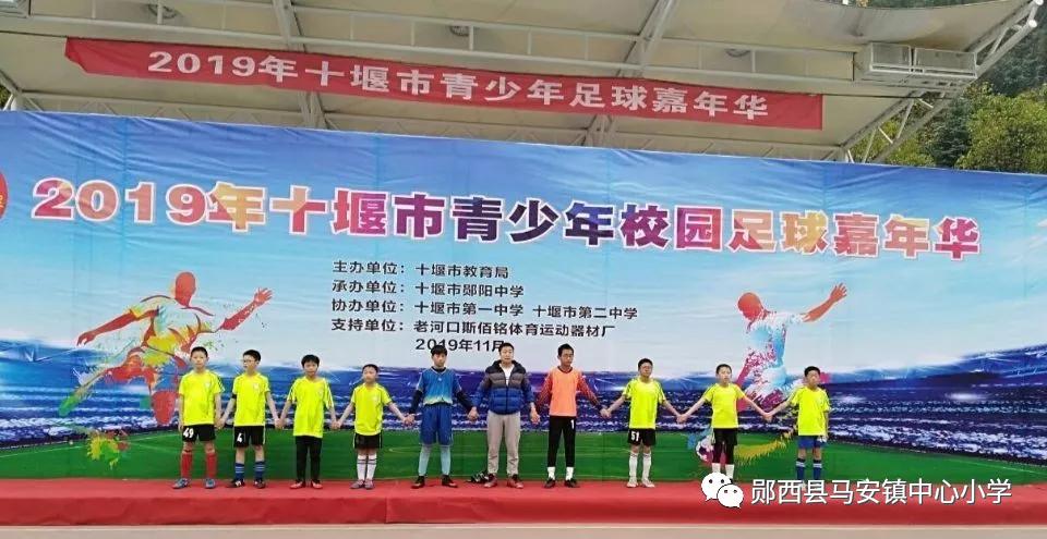 刚进学校的新老师,刚入职新教师