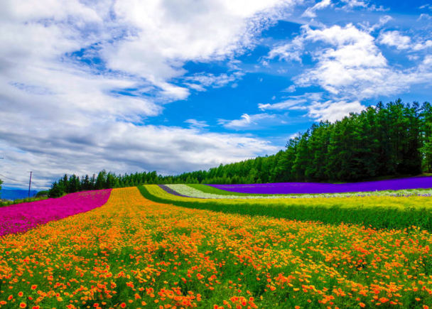 日本北海道有什么特点,日本北海道冬天合适去吗