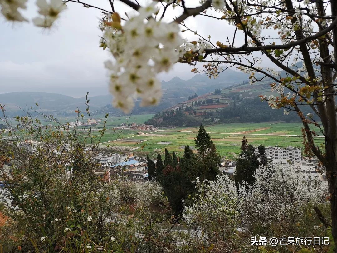云南合适隐居的小山村,云南与世隔绝的花海