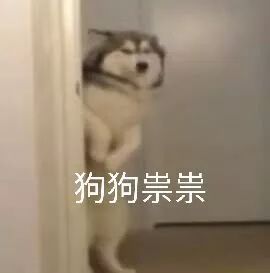 ofo真的能撑到最后吗,ofo硬核翻盘指南