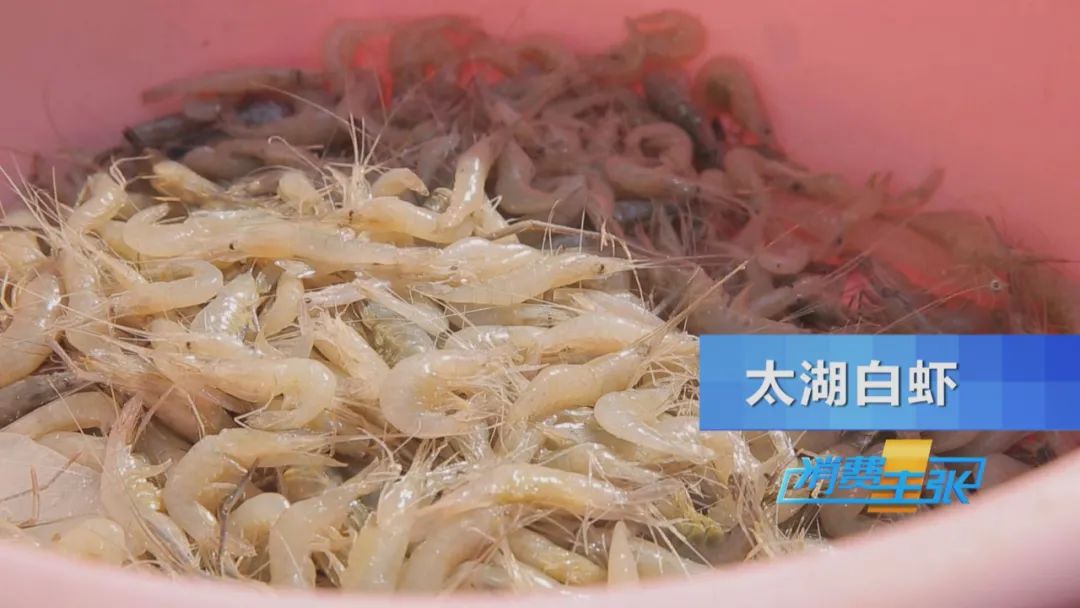 直击太湖开湖现场！鲜美湖鲜大量上市，资深吃货准备好了吗？