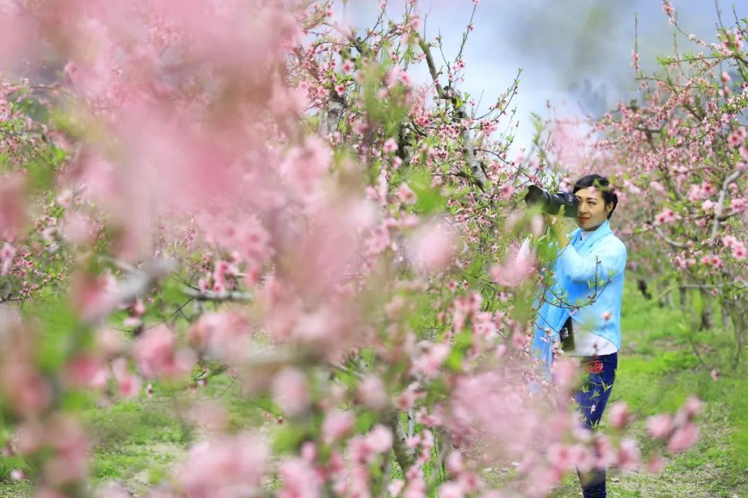 台州藏在深山里的世外桃源,台州家乡春天的美景