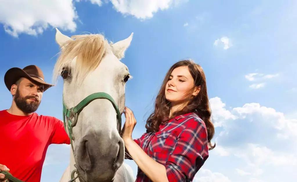 属相婚配表,属相婚配表金木水火土