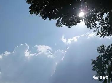 90后童年回忆布谷鸟叫,90后捕鸟