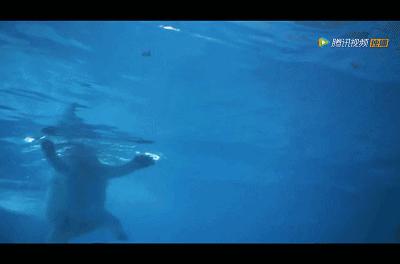 珠海一座向海而生的浪漫之城,珠海仁恒洲际酒店体验