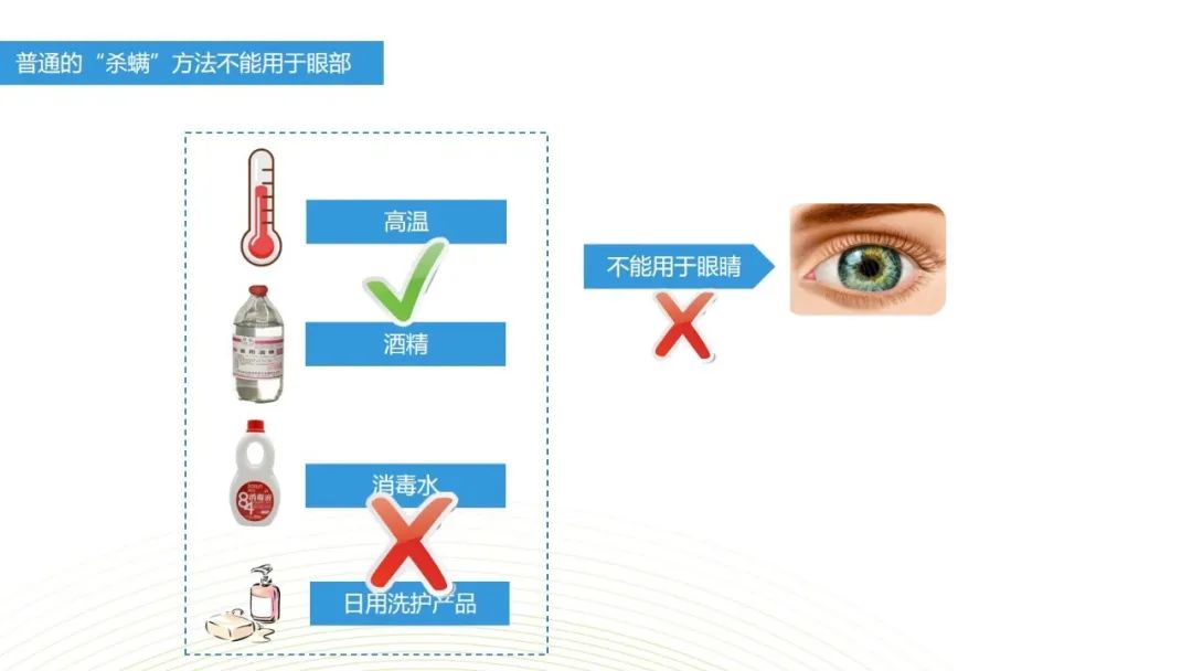 眼睛总是痒？总感觉眼睛里有东西？结膜炎角膜炎反反复复？可能是你的眼睛里有螨虫