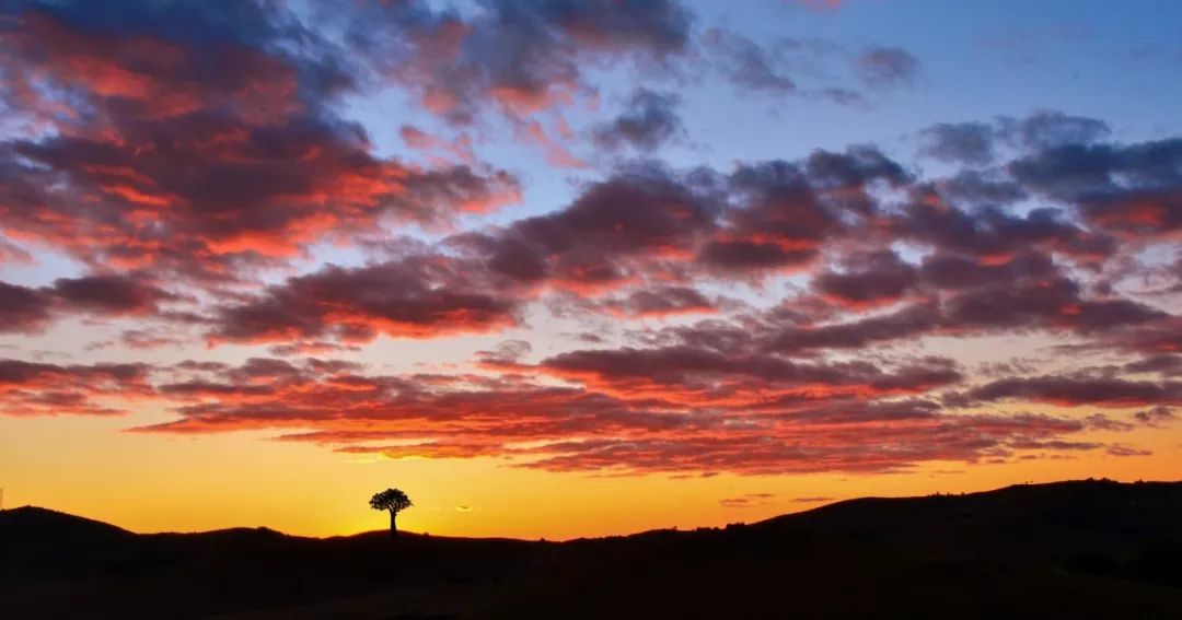 李白诗词解读,李白和苏轼诗词各十首