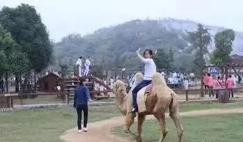 东南花都花博园全新升级鹿岛公园,东南花都花博园导览图