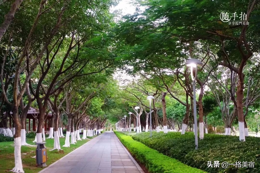 鼓浪屿吃喝,鼓浪屿在哪吃不被坑