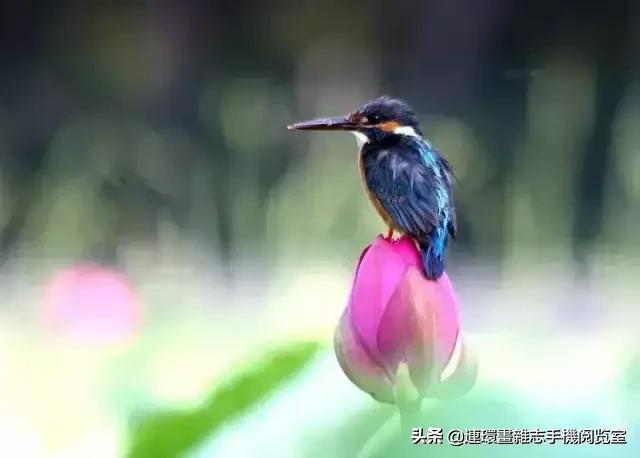 闽南方言俗语歇后语,歇后语中的歇后语