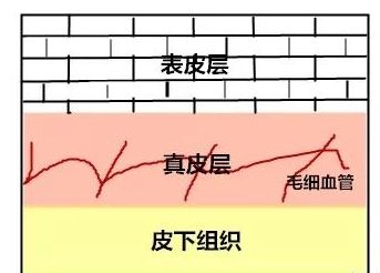 孕期需要使用孕妇专用洗发水吗,孕妇洗发水有什么讲究吗