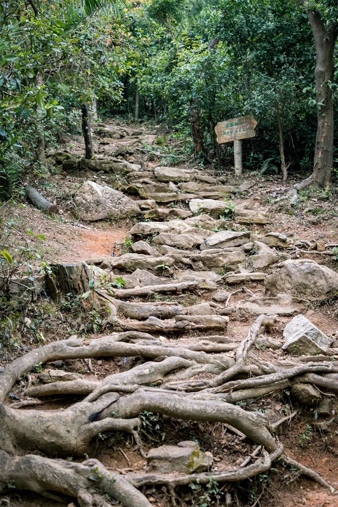 放假在深圳能去哪里玩,放假了能够去深圳的哪些地方玩