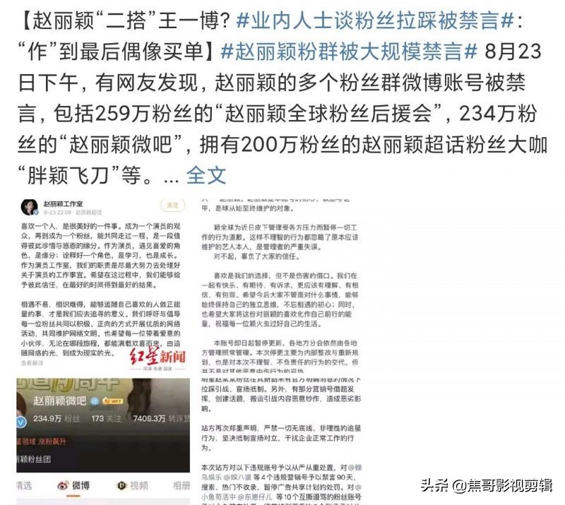 赵丽颖粉丝后援会禁言,赵丽颖粉丝禁言