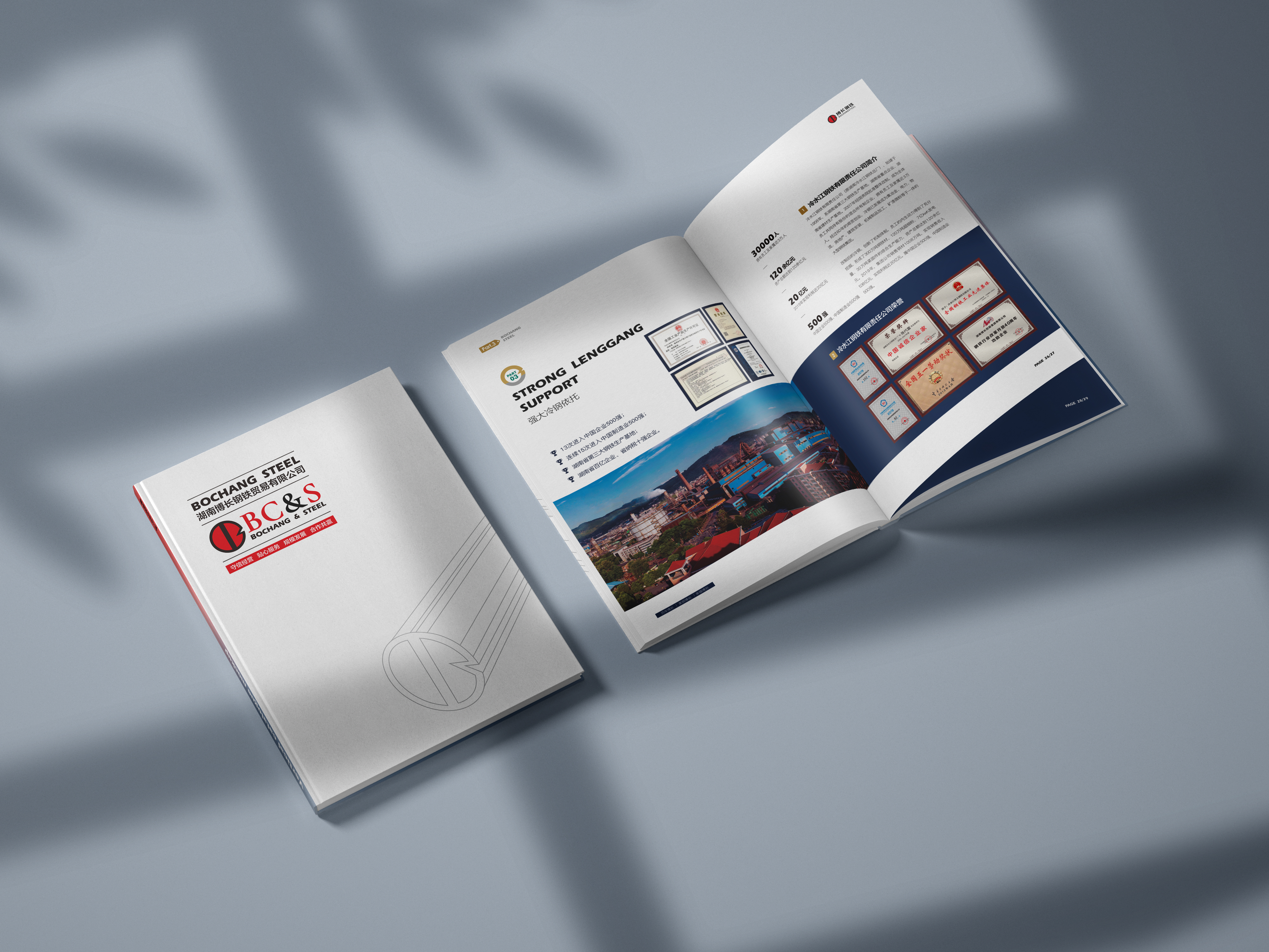 常德博长钢铁贸易有限公司,衡阳博长钢铁贸易有限公司技改