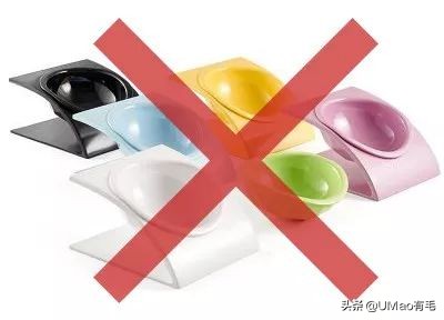 养猫这么多年你怎么连碗都摆不对 (养猫省钱妙招猫碗)