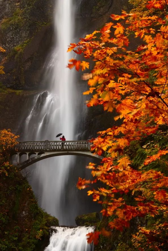 秋郊作诗词,秋意境优美古诗词