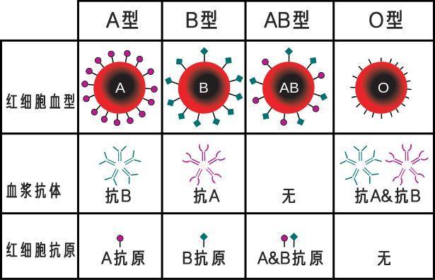 天生受胃癌“眷顾”的一群人，你可能正处其中~