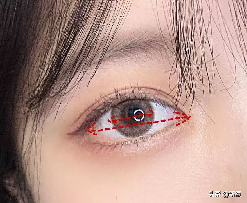 sunshine组合成员现状,sunshine组合重组