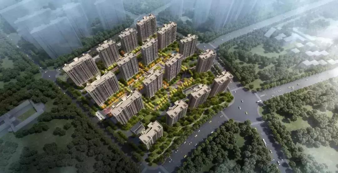 全两卫户型！重回快速道的这座新城，终于迎来大爆款