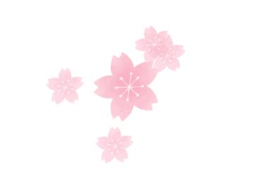 三水荷花世界99元套票,三水荷花世界自驾游门票团购