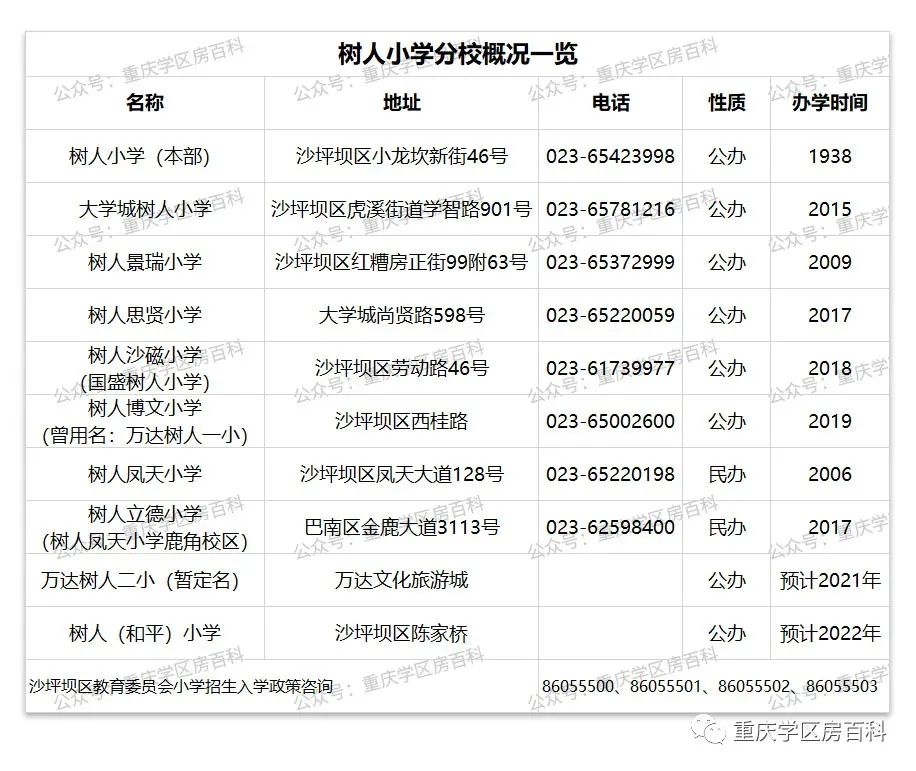 树人小学有初中吗,树人小学总校在哪里