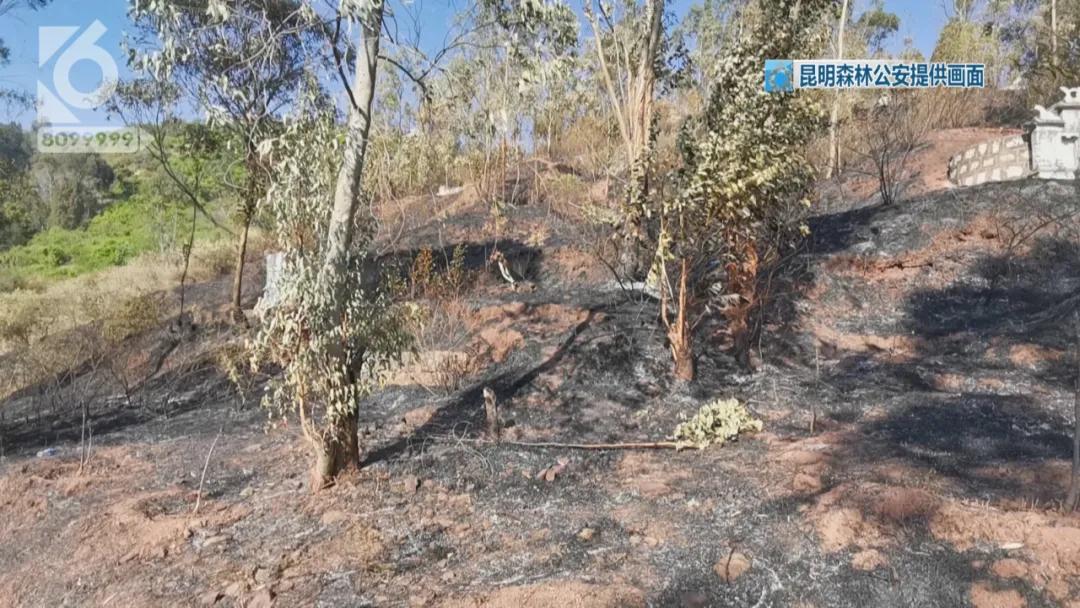 男子喝草酸自称为逃离黑工厂，民警高度重视介入调查，查到了意想不到的事