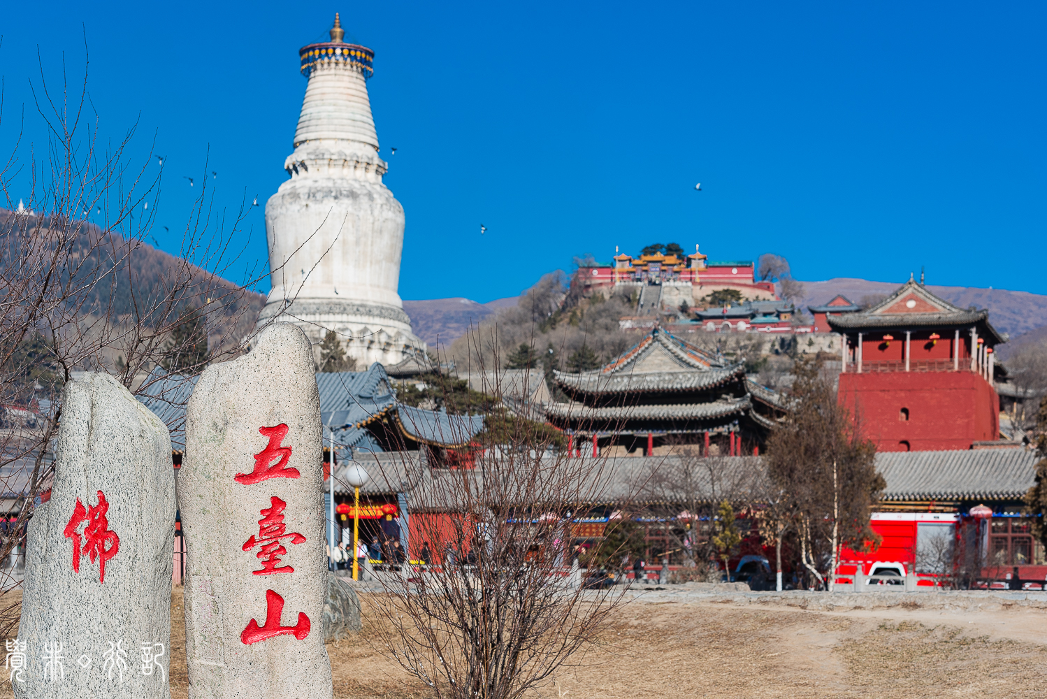 文殊菩萨的道场是哪个佛教名山,文殊菩萨最大的寺院在哪里