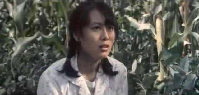 洪学敏李秀明傅艺伟任冶湘扮演过的农村姑娘，你最难忘的是谁？