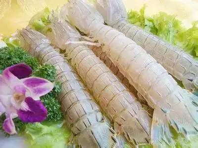 活皮皮虾用盐水泡着会死吗,皮皮虾泡水里几分钟就死了