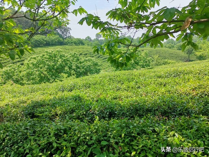 信阳被吐槽的地方,信阳南湾湖游玩有感