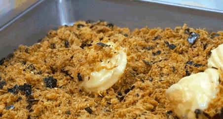 鲍师傅1.9秒杀,鲍师傅预购