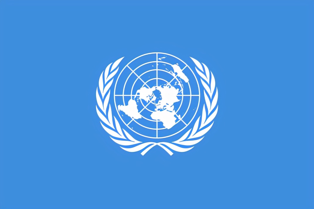 国际组织旗帜标志一览,象征世界和平的国际组织旗帜
