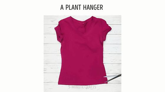 在家怎么无土种菜简单又安全,家庭种菜不用肥料种菜方法