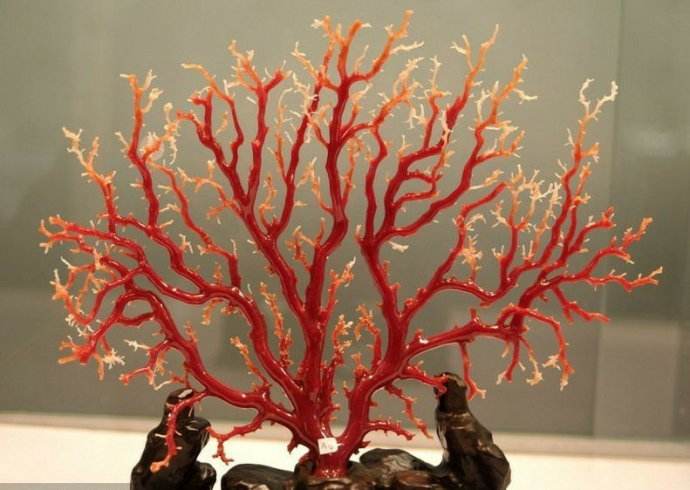 盘点文玩圈中不能碰的五种文玩,这6种文玩一定不要碰太吓人了