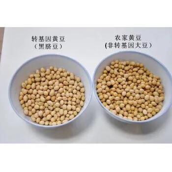 煮豆燃豆萁是哪首古诗,煮豆燃豆萁豆在釜中泣