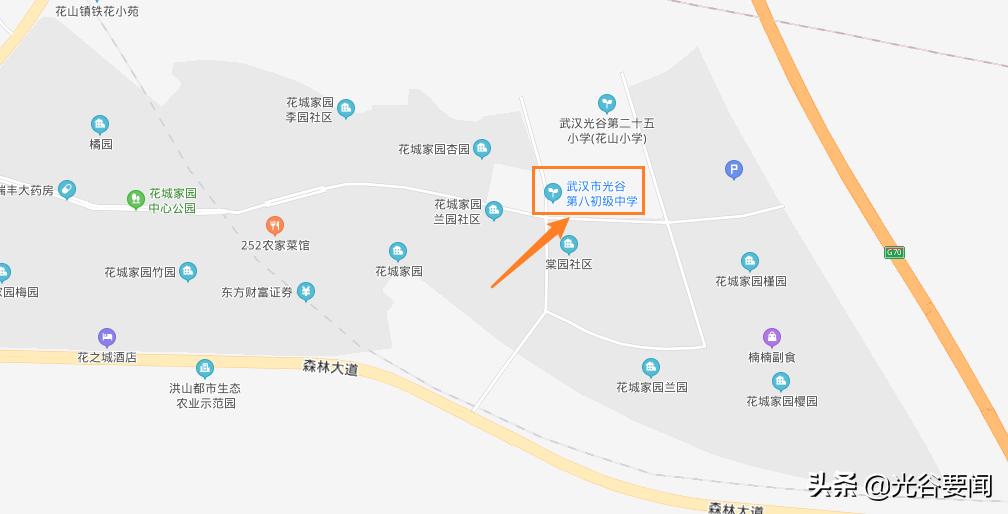 光谷未来中考喜报,光谷初中中考成绩