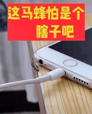 说好的三角形具有稳定性呢？咋三角恋就翻车了呢
