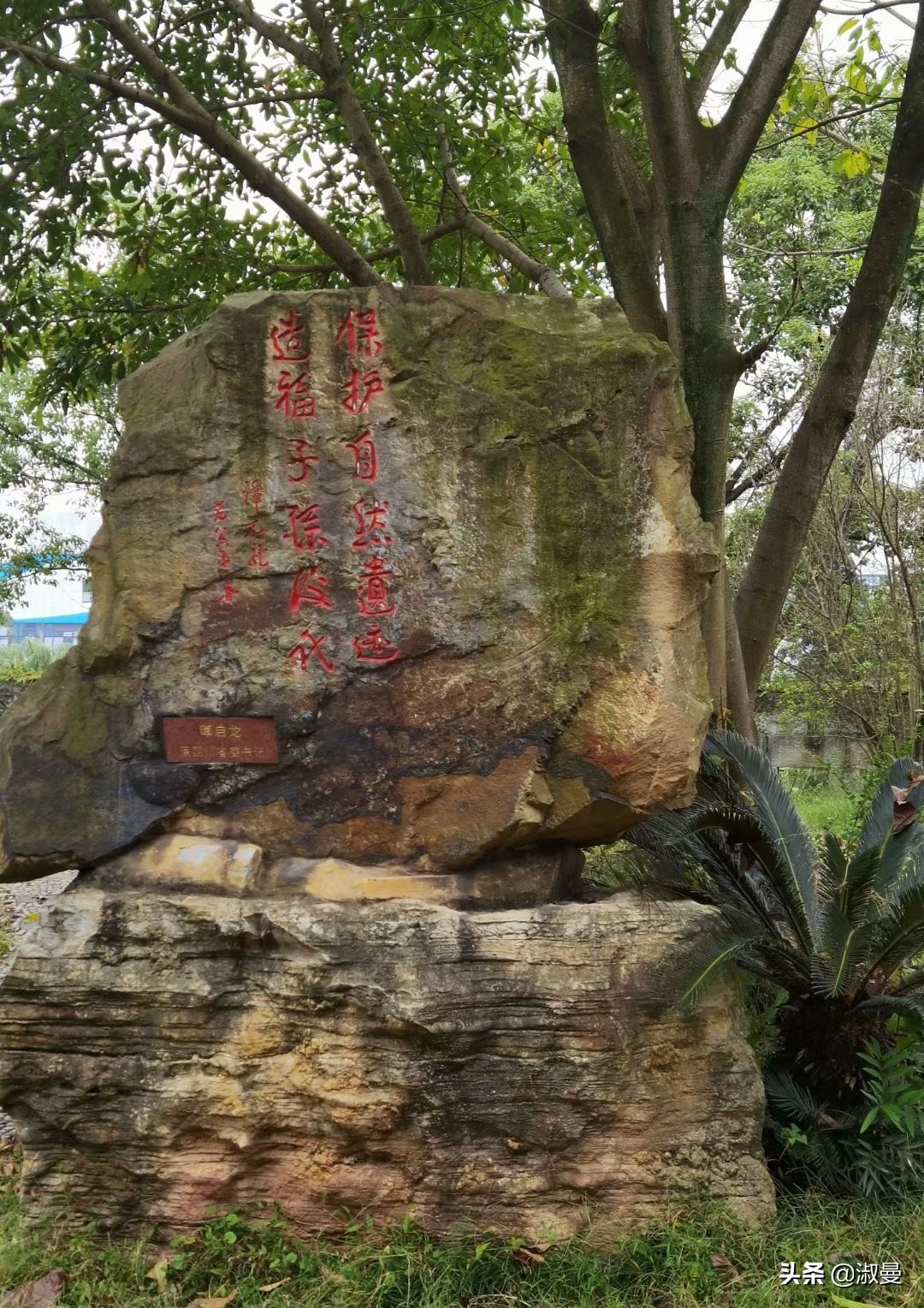 恐龙距今多少年前灭绝,恐龙灭绝前有人类吗