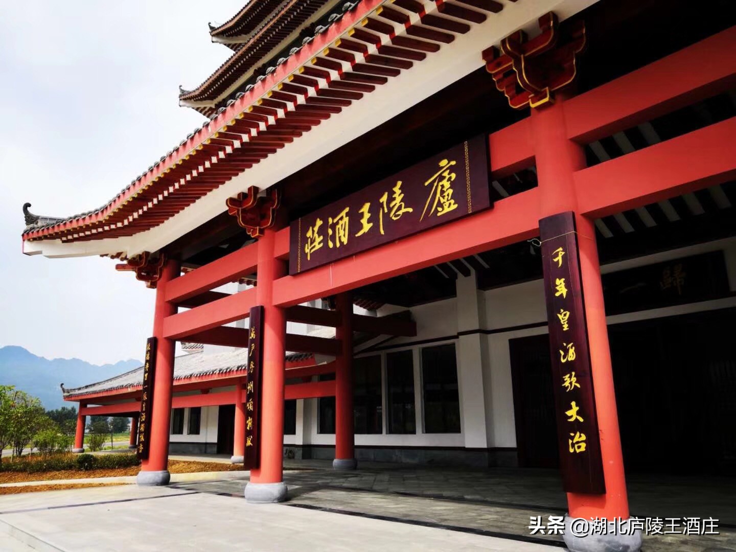 湖北人爱喝的5种酒,湖北最出名的酒是什么酒