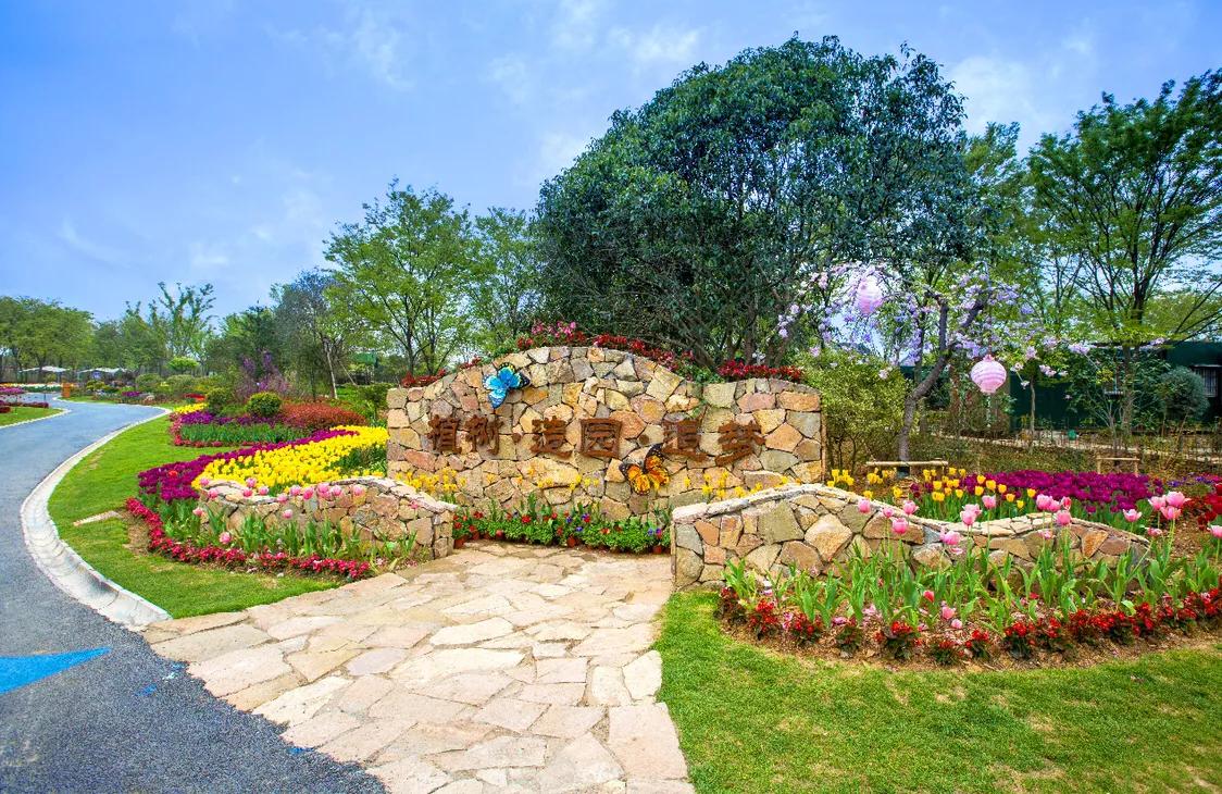 不用去维多利亚！南京溧水惊现布查特花园，文艺值爆表！