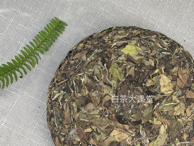 为白茶中的茶梗平反，虽然不好看，对味道却大有贡献