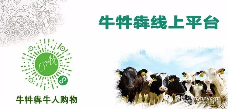 牧场生产管理方法,规模化牧场饲养管理标准