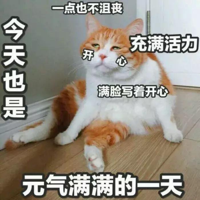 暑假减肥逆袭变白变瘦,大学生一周减肥暴瘦