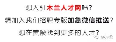 今日木兰最新招聘信息,木兰人才网官网